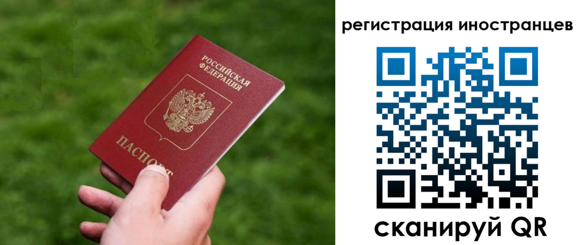 прописка ребенка в Шумихе